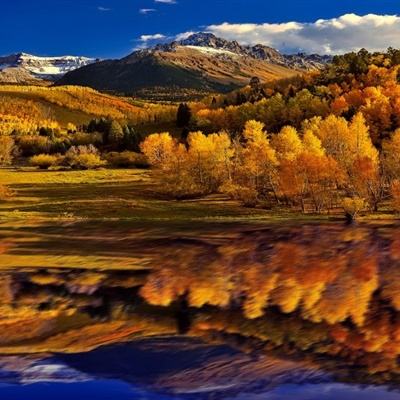 yabo888vip手机app下载截图