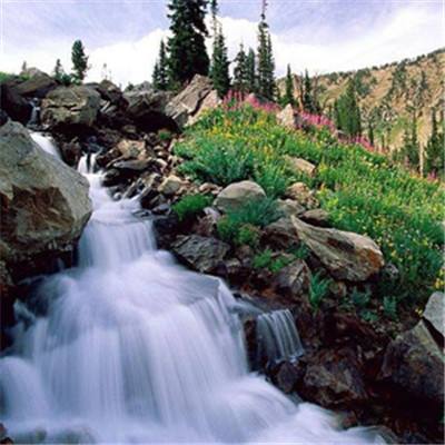 yabo888vip手机app下载